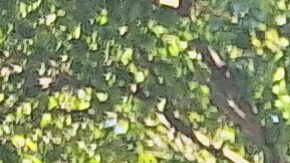 La dominicana Agueda Espinal acudirá a votar, pero esta semana no tenía claro todavía por quién.