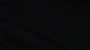 Un hincha de Palestino agita una bandera de Palestina en un partido de la fase de grupos de la Copa Libertadores entre Millonarios y Palestino.