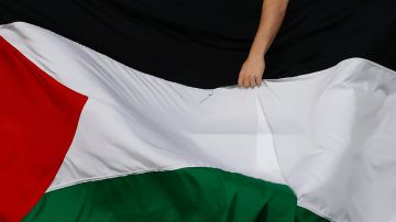 Un hincha de Palestino agita una bandera de Palestina en un partido de la fase de grupos de la Copa Libertadores entre Millonarios y Palestino.