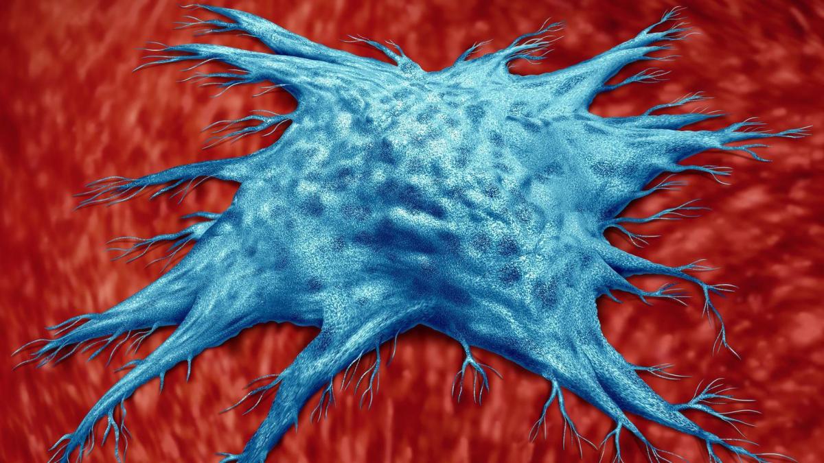“Células zombis”: científicos intentan acabar con ellas para poder tener una vida más sana