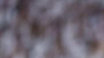 El delantero del Real Madrid Vinicius Jr (d) controla el balón ante el defensa del Cádiz.