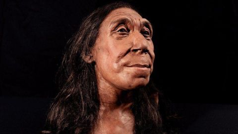 Neandertal