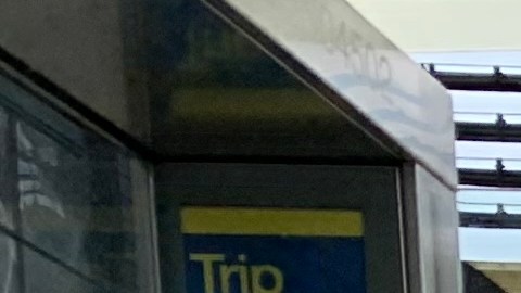 Instan a Albany a aprobar ley que promueva maneras alternativas de transporte para reducir uso vehicular