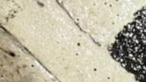 Machete usado en el ataque del 31 de diciembre de 2022 en Times Square, NYC.