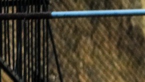 El primer paso para intentar ser parte del cuerpo de bomberos más grande del país es presentar una solicitud en línea