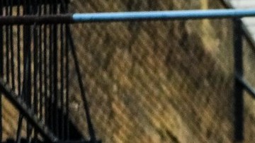 El primer paso para intentar ser parte del cuerpo de bomberos más grande del país es presentar una solicitud en línea