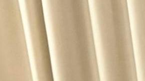 Fotografía cedida por la Oficina del Presidente de Argentina (OPR Argentina) donde aparece el presidente de Argentina, Javier Milei (2i), durante su reunión con el propietario de la red social "X" y la empresa Tesla, el multimillonario Elon Musk.