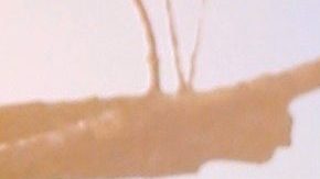 Jennifer Garner posando.