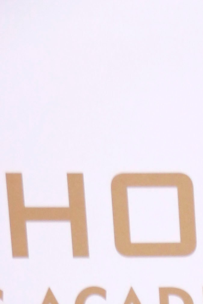 Marc Anthony posando.