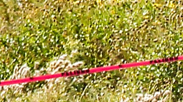 Surfistas asesinados en Baja California