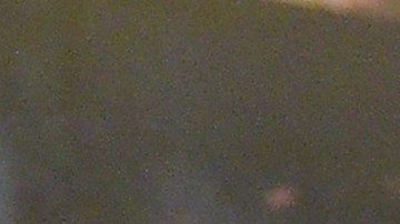 Alfonso 'Poncho' Herrera.