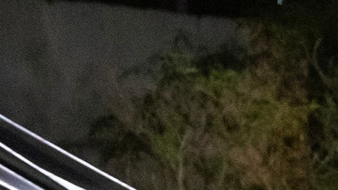 Suben a 5 muertos y 50 heridos tras caída de templete en acto de opositor Máynez en México