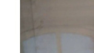 Bird Piché confía en poder recuperarse tras ser aplastada en un concierto en NY.