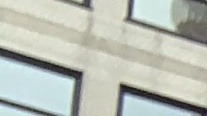 Congresista Jamaal Bowman recibe respaldo de Nydia Velázquez