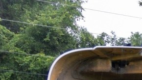 El accidente en el que murieron ocho migrantes agrícolas fue al norte de Tampa, Florida.