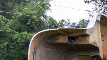 El accidente en el que murieron ocho migrantes agrícolas fue al norte de Tampa, Florida.