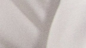 El acusado estaba usando el nombre de Wen San cuando fue detenido