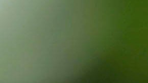 Gisele Bündchen vendió esta casa luego de casarse con Tom Brady.