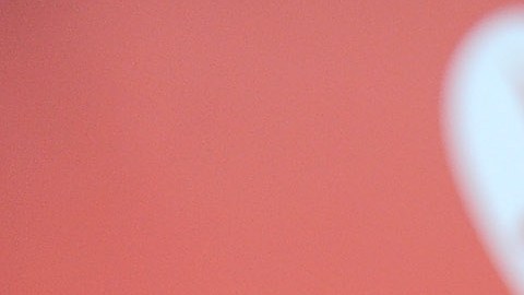 Steve-O pide $1.79 millones de dólares por la propiedad.