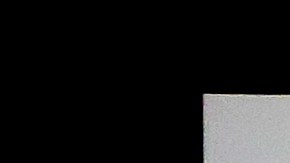 Logo de la NCAA, Imagen referencial.