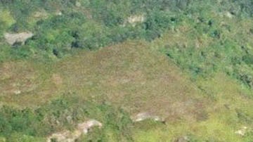Observatorio de Arecibo