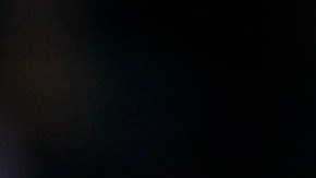 Austin Maddox tuvo un pequeño paso por las Grandes Ligas en 2017 con los Red Sox.