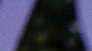 Martha Stewart se tendrá que hacer cargo de una cuota mensual de $4,493 dólares.