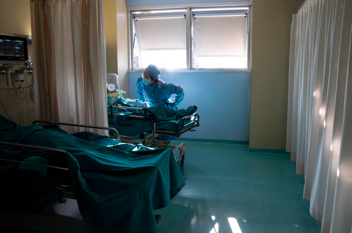 Muere en Boston el primer paciente en recibir trasplante de riñón de cerdo