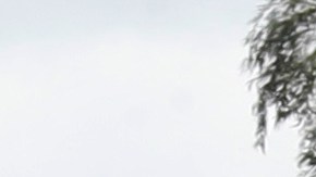 La mayoría de las expulsiones ocurrieron en la frontera suroeste del país.