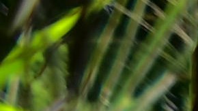 Crisis de vivienda en Puerto Rico