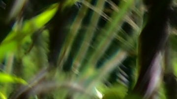 Crisis de vivienda en Puerto Rico