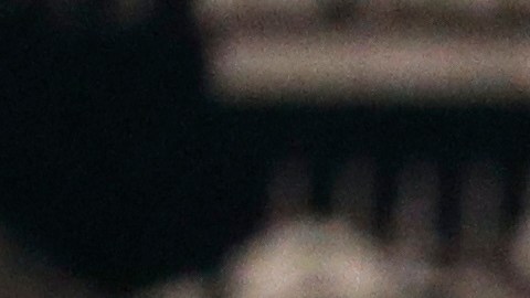 El equipo legal de David Copperfield niega las acusaciones.