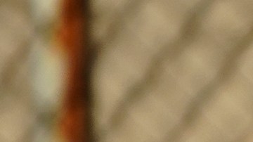 La novia del hispano fue detenida y está siendo interrogada en la comisaría del distrito 32, pero todavía no ha sido acusada.