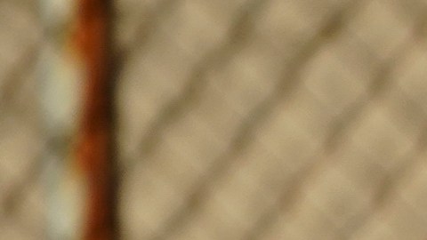 La novia del hispano fue detenida y está siendo interrogada en la comisaría del distrito 32, pero todavía no ha sido acusada.