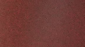 "Nunca dejen de alzar su voz": Richard Carapaz deseó suerte al designado por Ecuador para París 2024