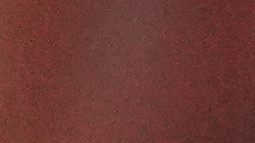 "Nunca dejen de alzar su voz": Richard Carapaz deseó suerte al designado por Ecuador para París 2024