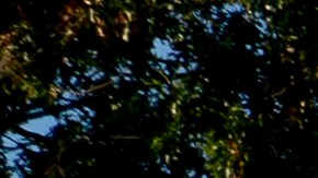 La Cámara de Representantes de Estados Unidos aprobó la legislación bipartidista.