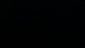 El forense indicó que los detectives creen que los restos óseos y fragmentos podrían representar los huesos de al menos 25 personas.