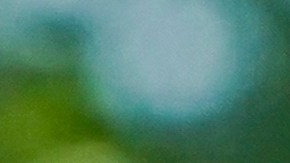 Canelo Álvarez aprendió nuevas habilidades de golf con Lorena Ochoa.