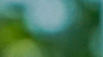 Canelo Álvarez aprendió nuevas habilidades de golf con Lorena Ochoa.