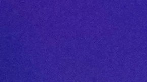 Xander Zayas celebra luego de derrotar a Elías Espadas en 2022.