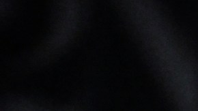 Bruce Springsteen participando en un evento.