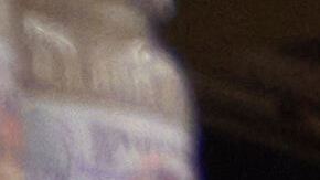 Cupones de alimentos SNAP