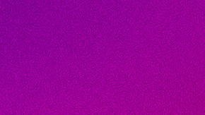 Bannon fue condenado a cuatro meses de cárcel en octubre de 2022 y una multa de $6,500 dólares por ignorar la citación del Congreso.