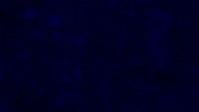 Matthew Miller, portavoz del Departamento de Estado, anunció la medida.