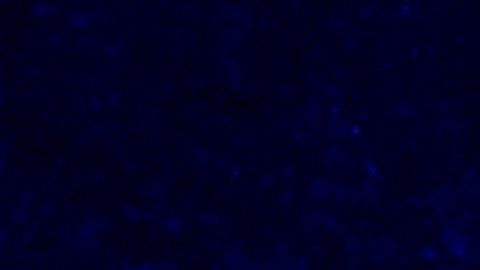 Matthew Miller, portavoz del Departamento de Estado, anunció la medida.