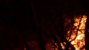 Los últimos reportes indican que Columbia Británica tiene 43 incendios activos, mientras que en Alberta la cifra total es de 44.