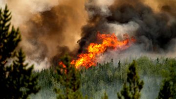 Los incendios forestales han destruido más de 24,000 acres al oeste de Canadá.