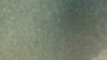 Ayrton Senna durante el Gran Premio de Suzuka, en 1990.