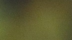 Argentina confirmó amistosos en EE.UU. ante Ecuador y Guatemala previos a la Copa América